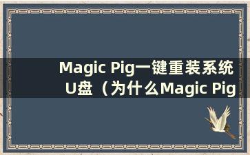 Magic Pig一键重装系统U盘（为什么Magic Pig一键重装后一直蓝屏）